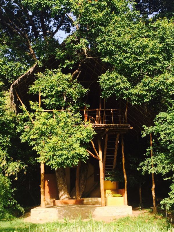 Have You Been To The Back Of&nbsp;Beyond?