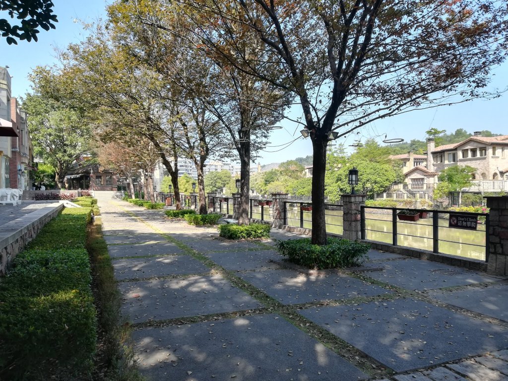 How To Survive In China – Your Guide To Living An Expats Life In Shenzhen