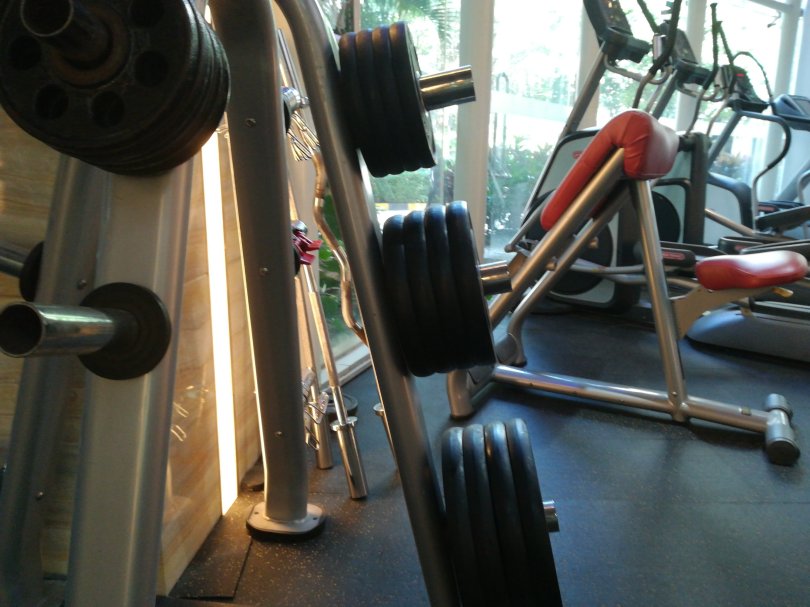 wp-15754360118414335256531162052949.jpg image