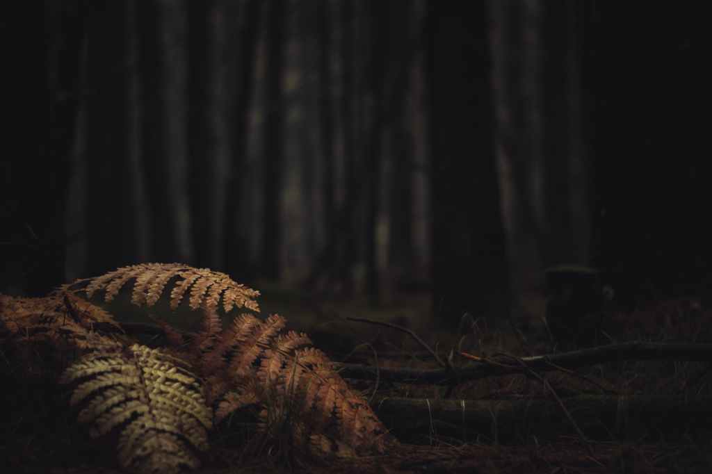 What Is The Strongest Emotion?