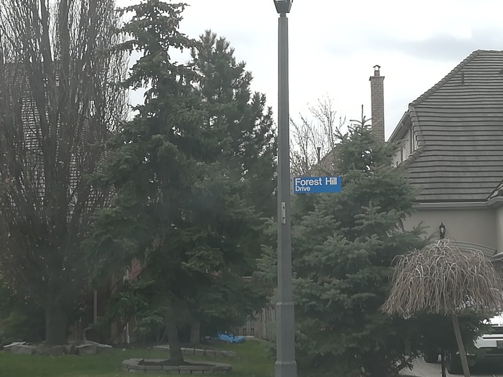 Foresr Hill Drive.