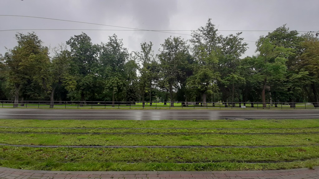 A Gang Of&nbsp;Trees