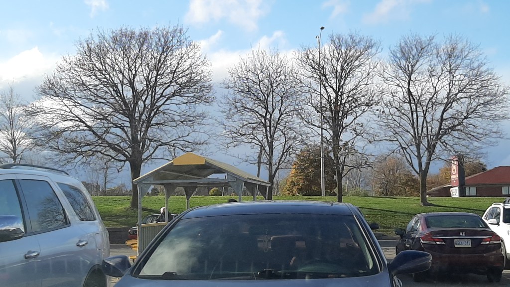 The Bob Ross&nbsp;Trees