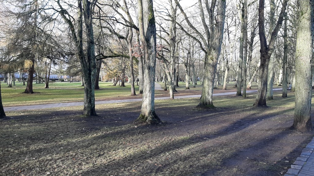 The Missing Leaves Of The&nbsp;Forest