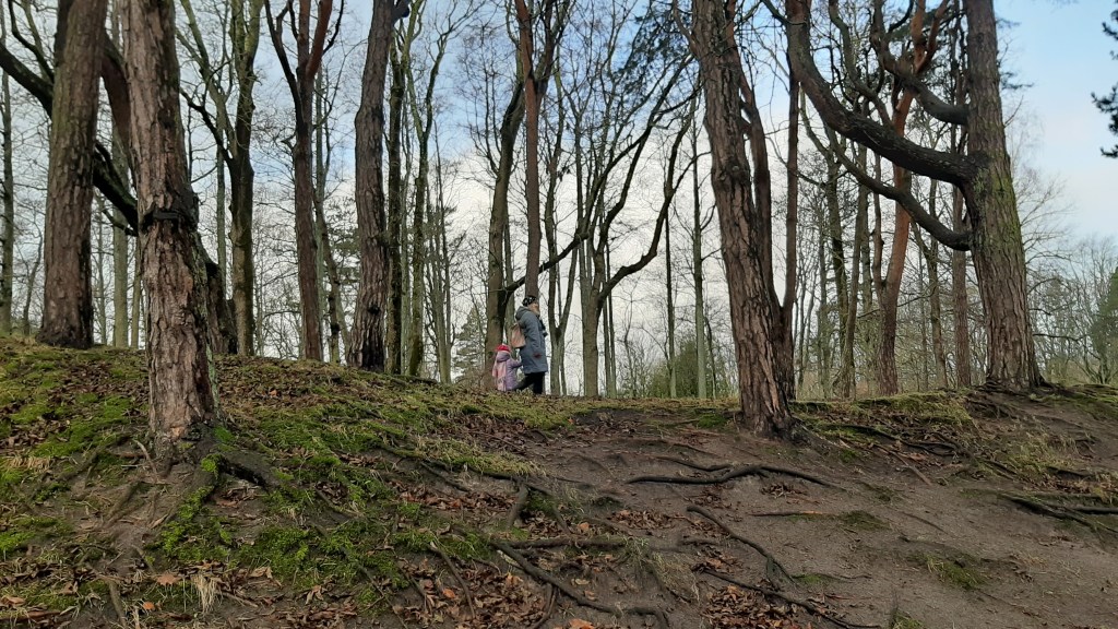 No Wolf In&nbsp;Sight