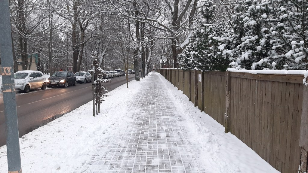 Walking The Path To&nbsp;Spring