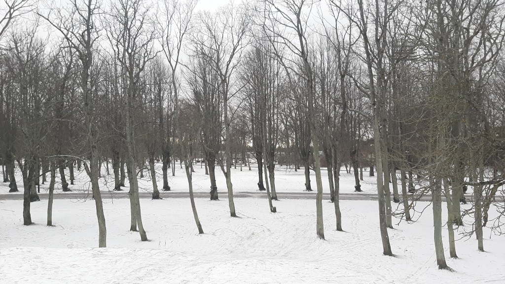 The Army Of&nbsp;Trees